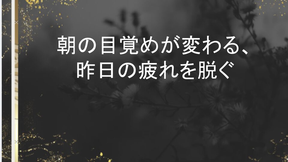 bakune dry men's リカバリー ウェア