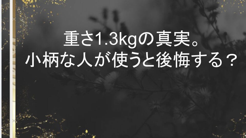 nordace siena pro 17 バック パック レビュー