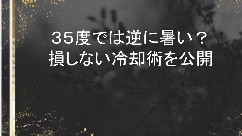 ペルチェベスト デメリット